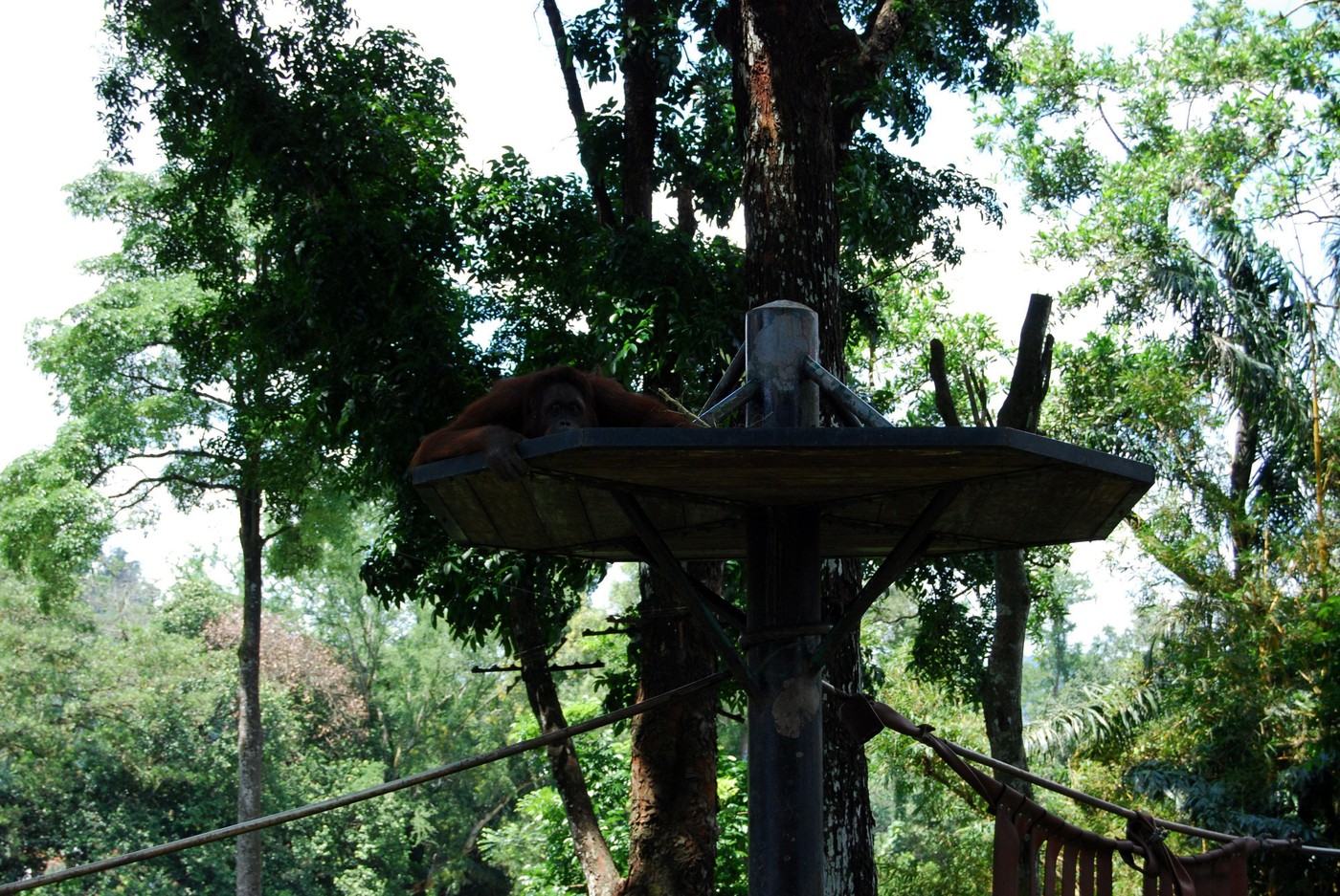 DSC_0148.JPG