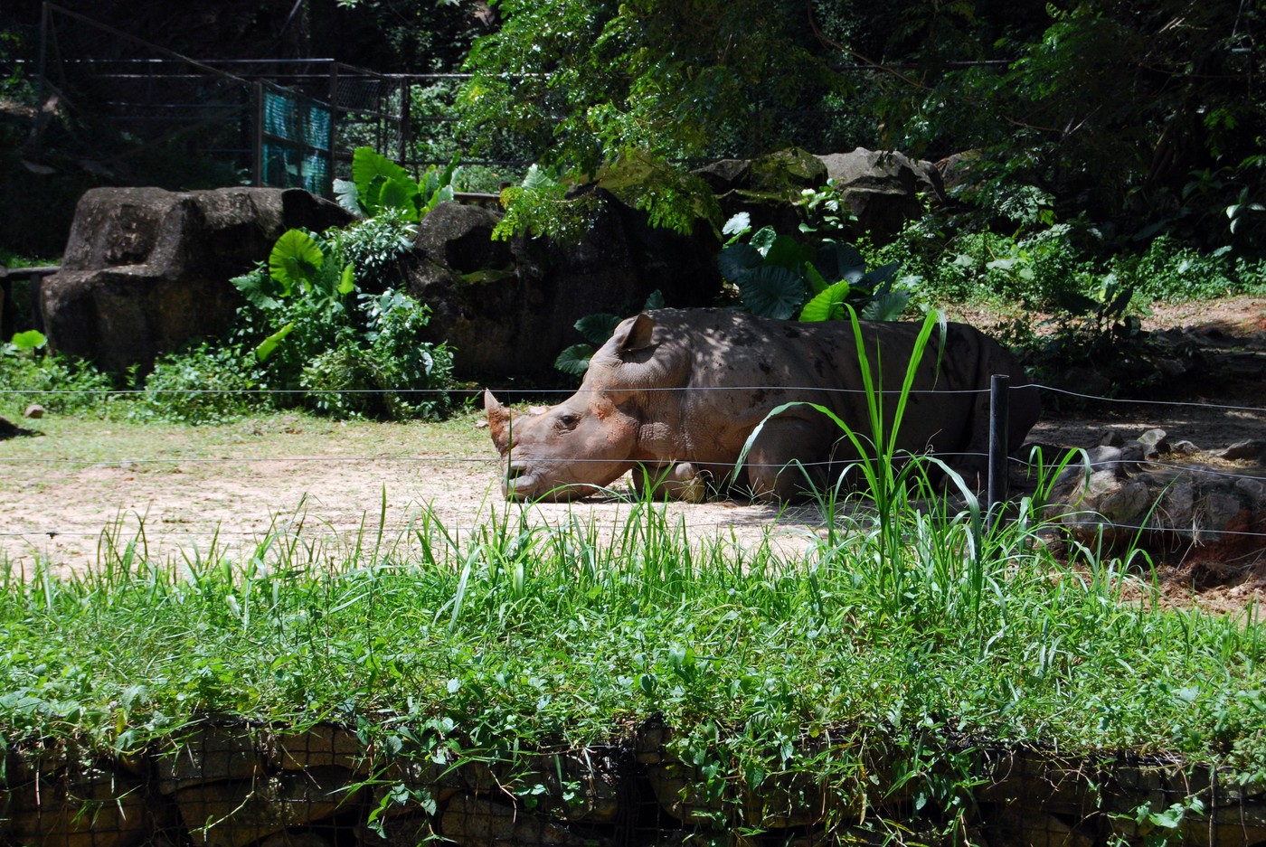 DSC_0240.JPG