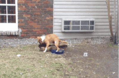 reddit_sexual_experience_6.gif