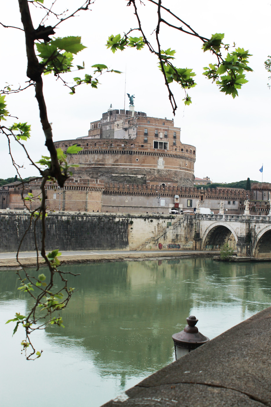 roma15.jpg