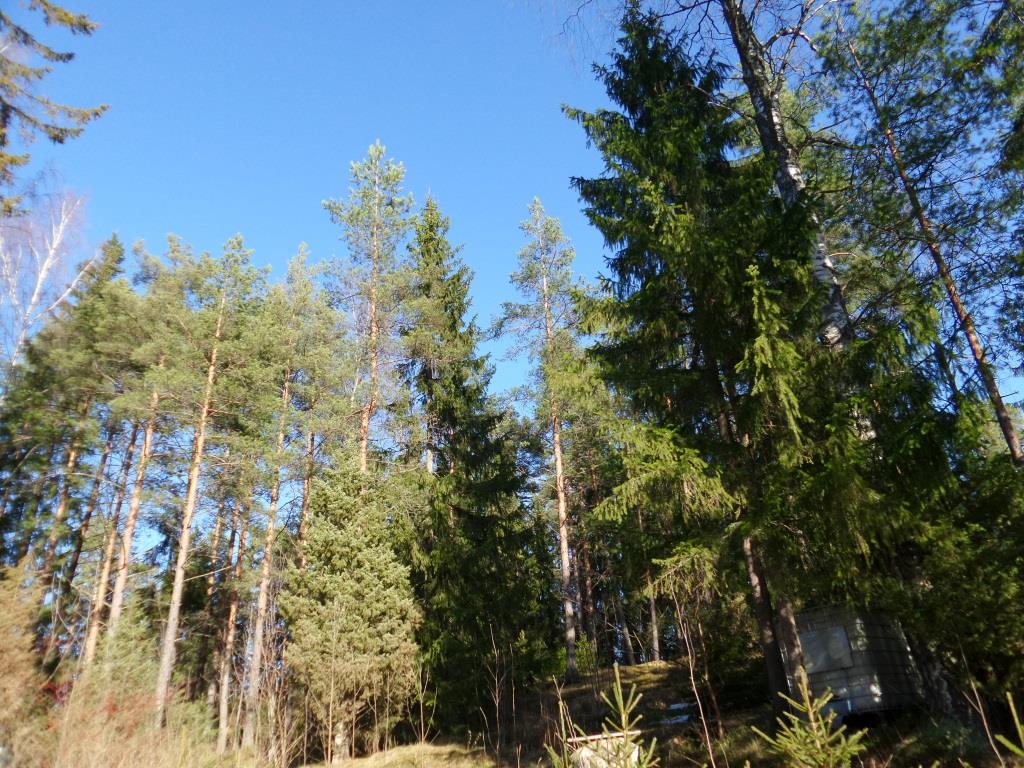 20150309_142346.jpg
