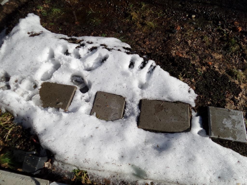 20150309_142432.jpg