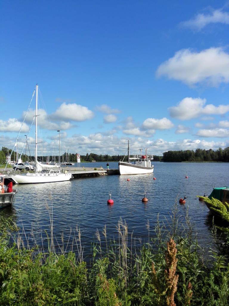 IMG_20150722_180111.jpg