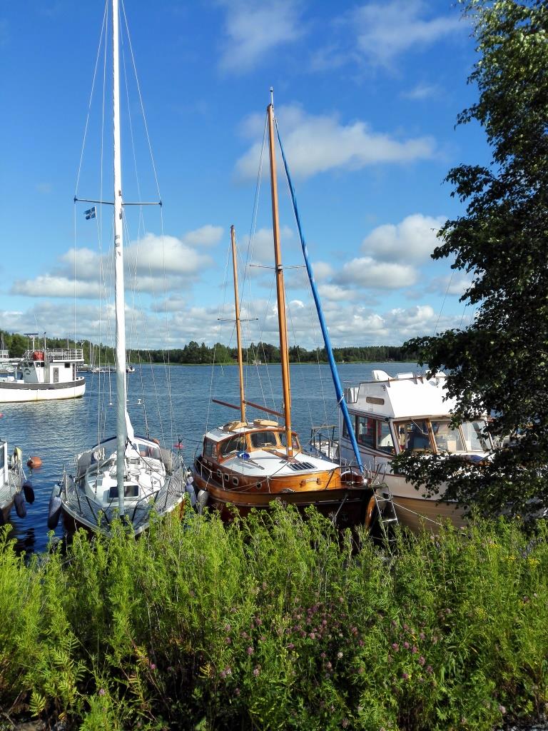 IMG_20150722_180306.jpg