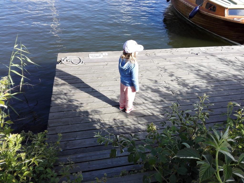 IMG_20150722_181643.jpg