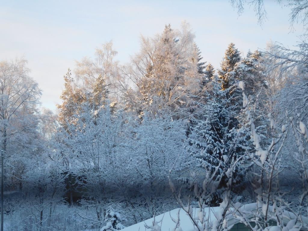 DSCN2546.JPG