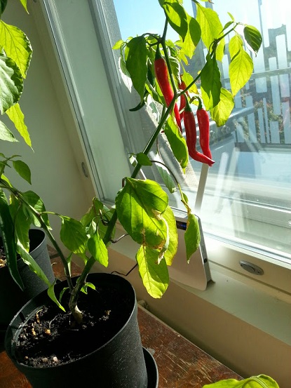 20140928_150222.jpg