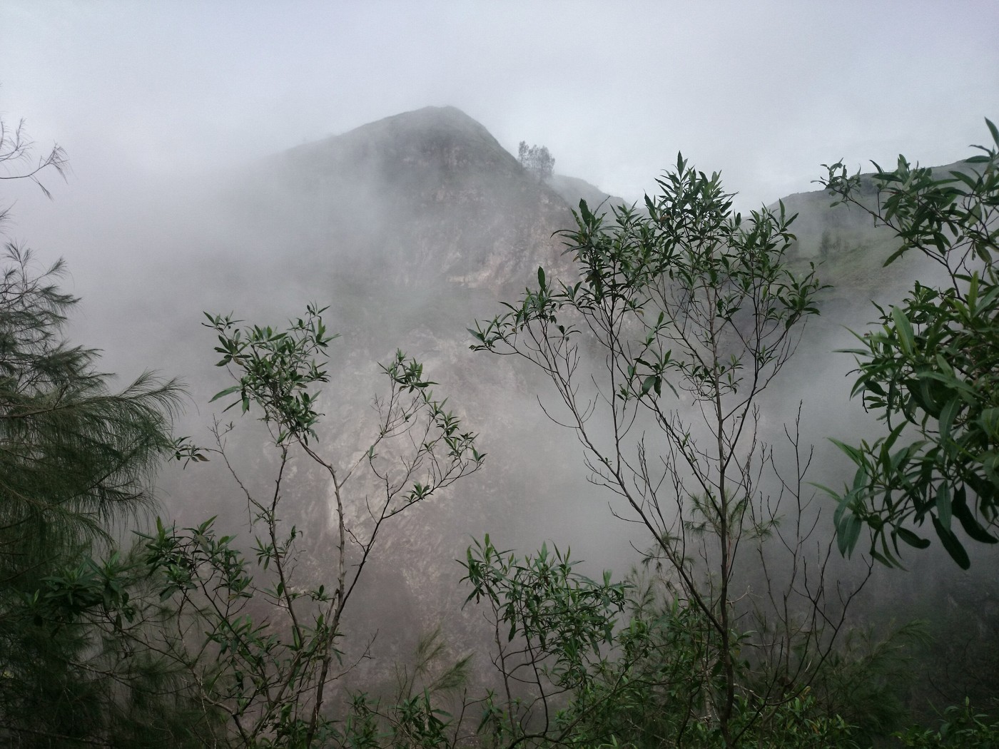 DSC_1892~2.jpg