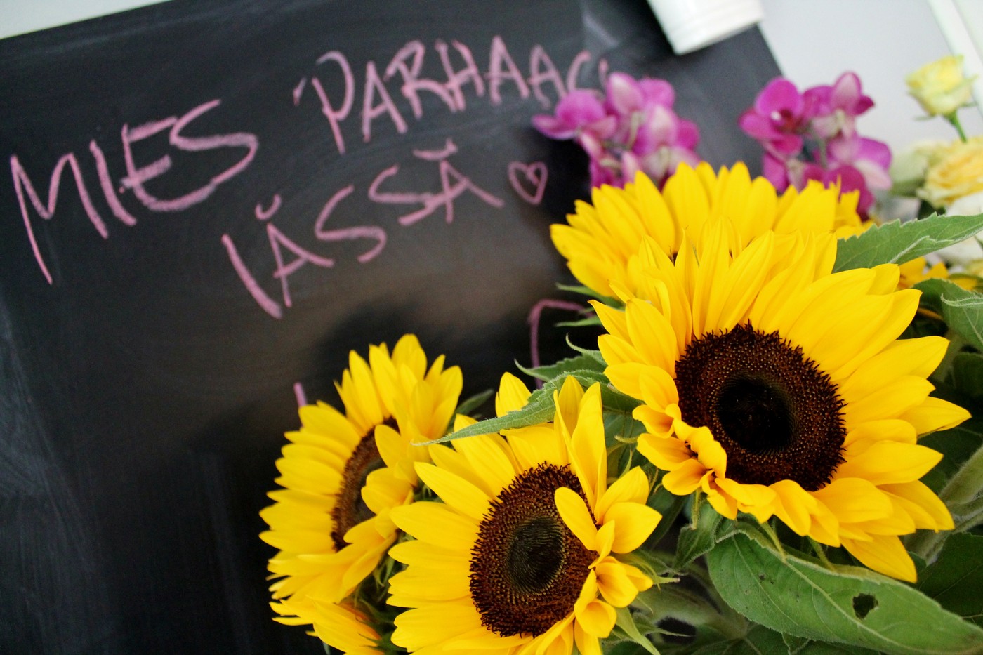 20.8.2014_7.JPG