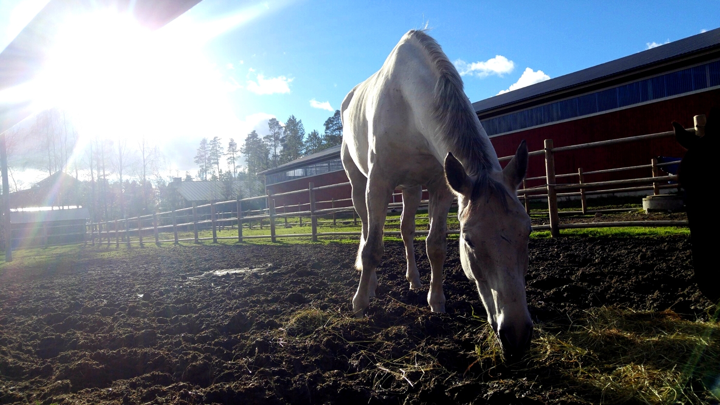 20151003_153928.jpg