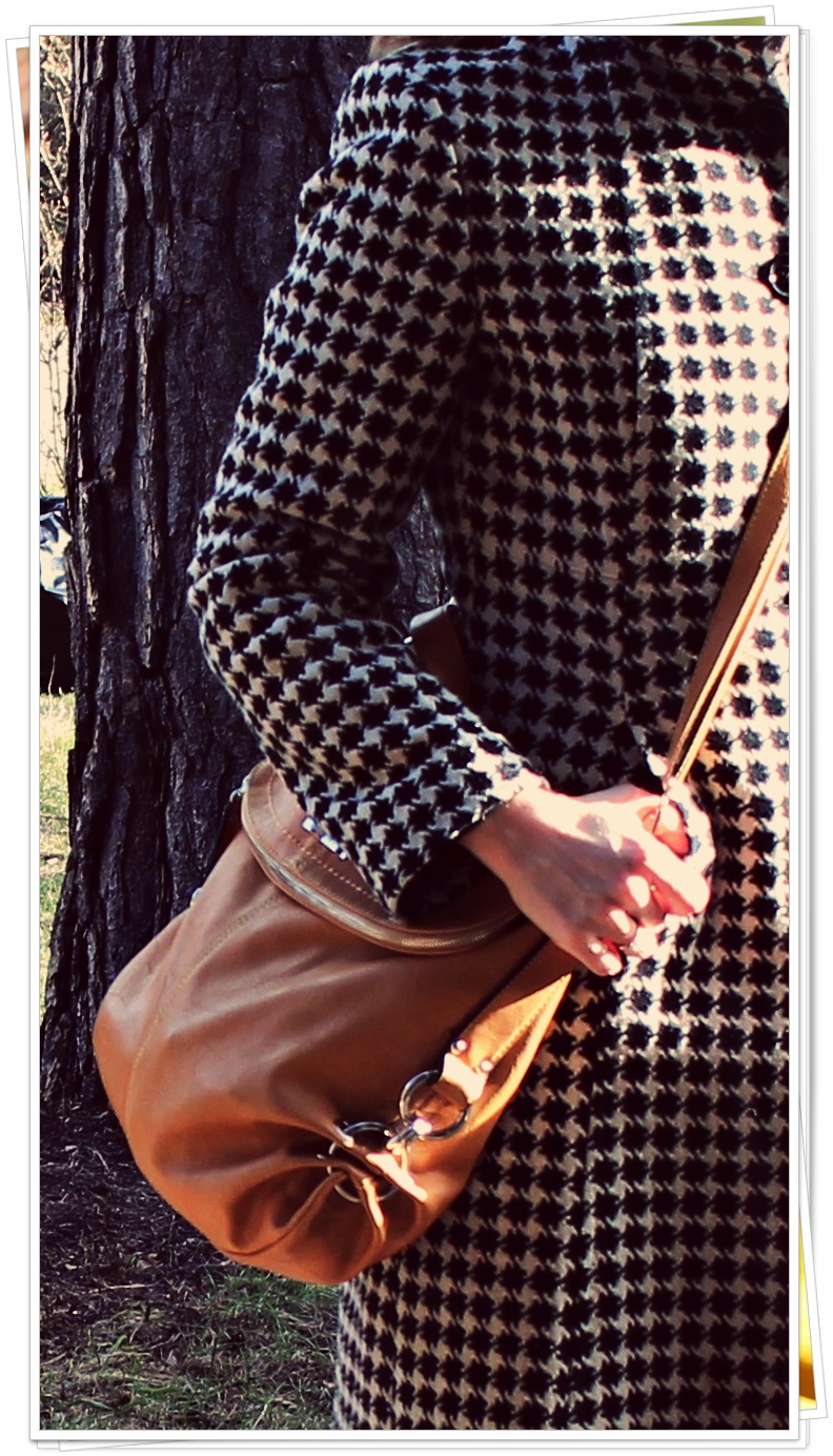 IMG_1701-crop_fold1.JPG