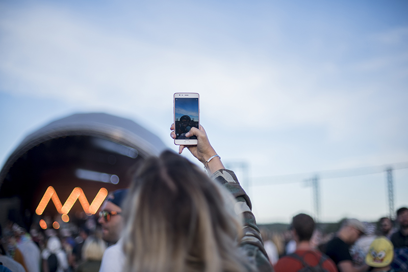 ruisrock 2017 10.jpg
