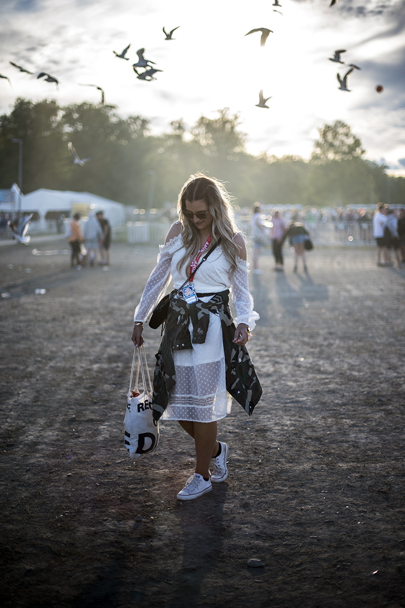 ruisrock 2017 12.jpg