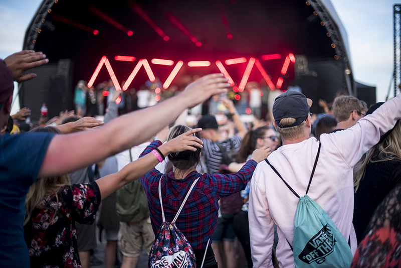 ruisrock 2017 14.jpg