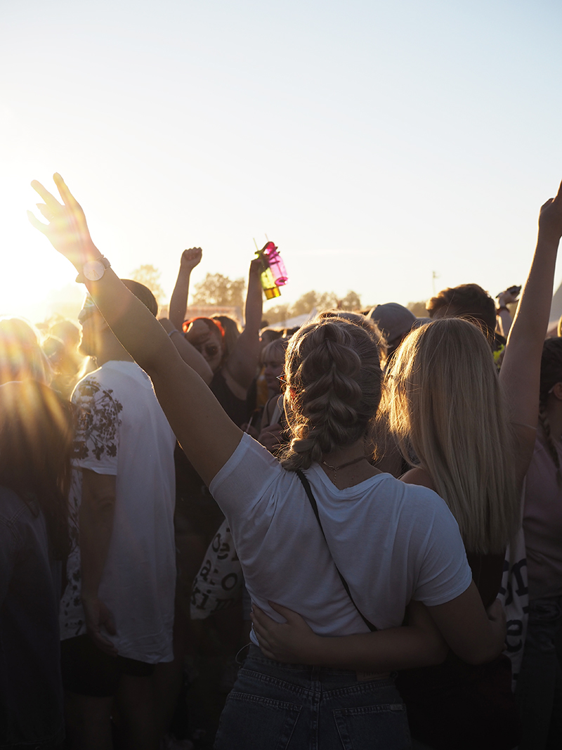 ruisrock 2017 5.jpg