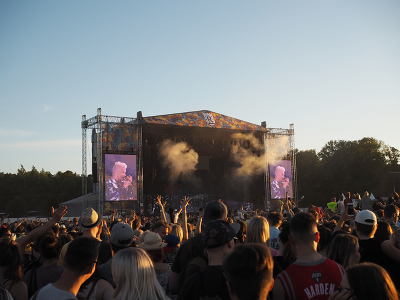 ruisrock 2017 5a.jpg