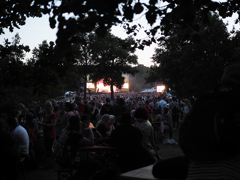 ruisrock 2017 7.jpg
