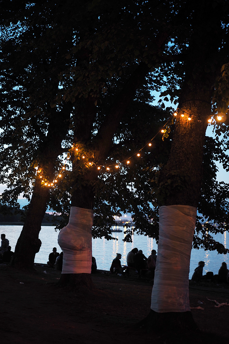 ruisrock 2017 9.jpg