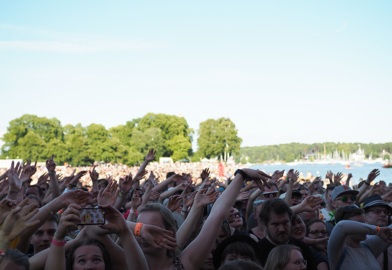 ruisrock 2017 9a.jpg