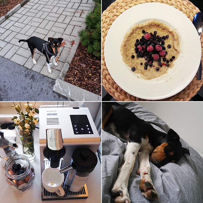bloggaajan päivä