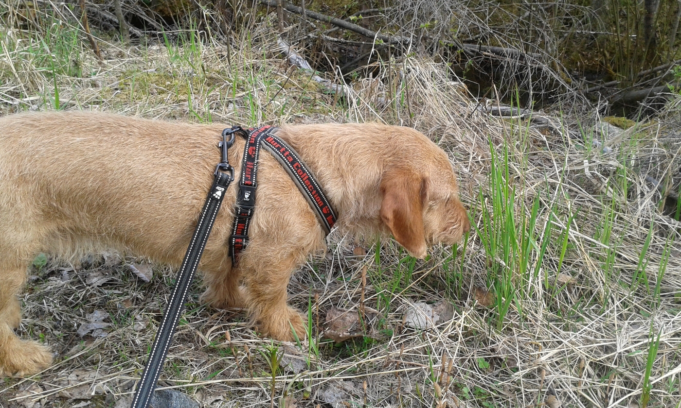 20150512_182457[1].jpg