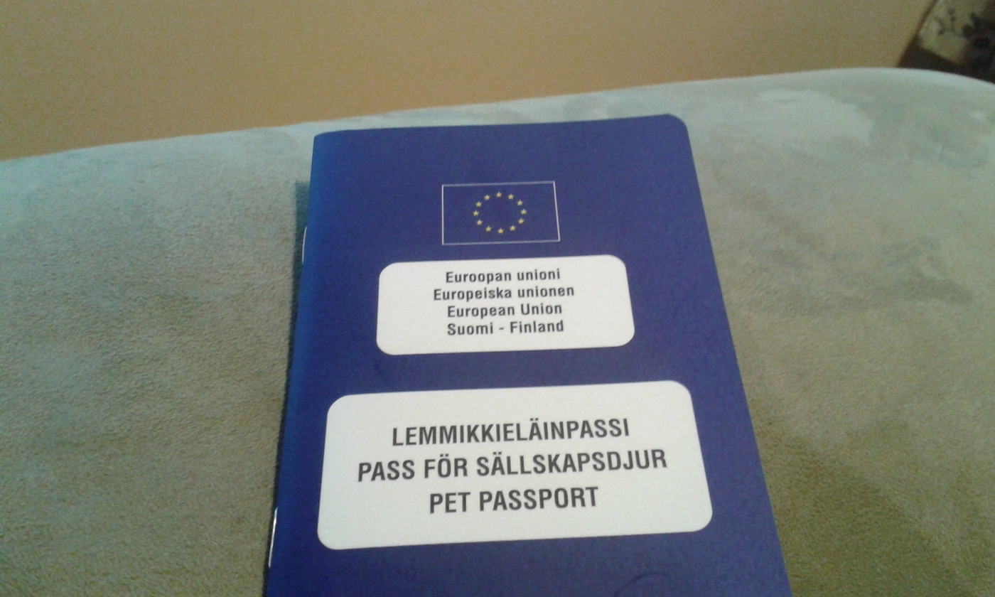 Sinisen läpyskän tähden