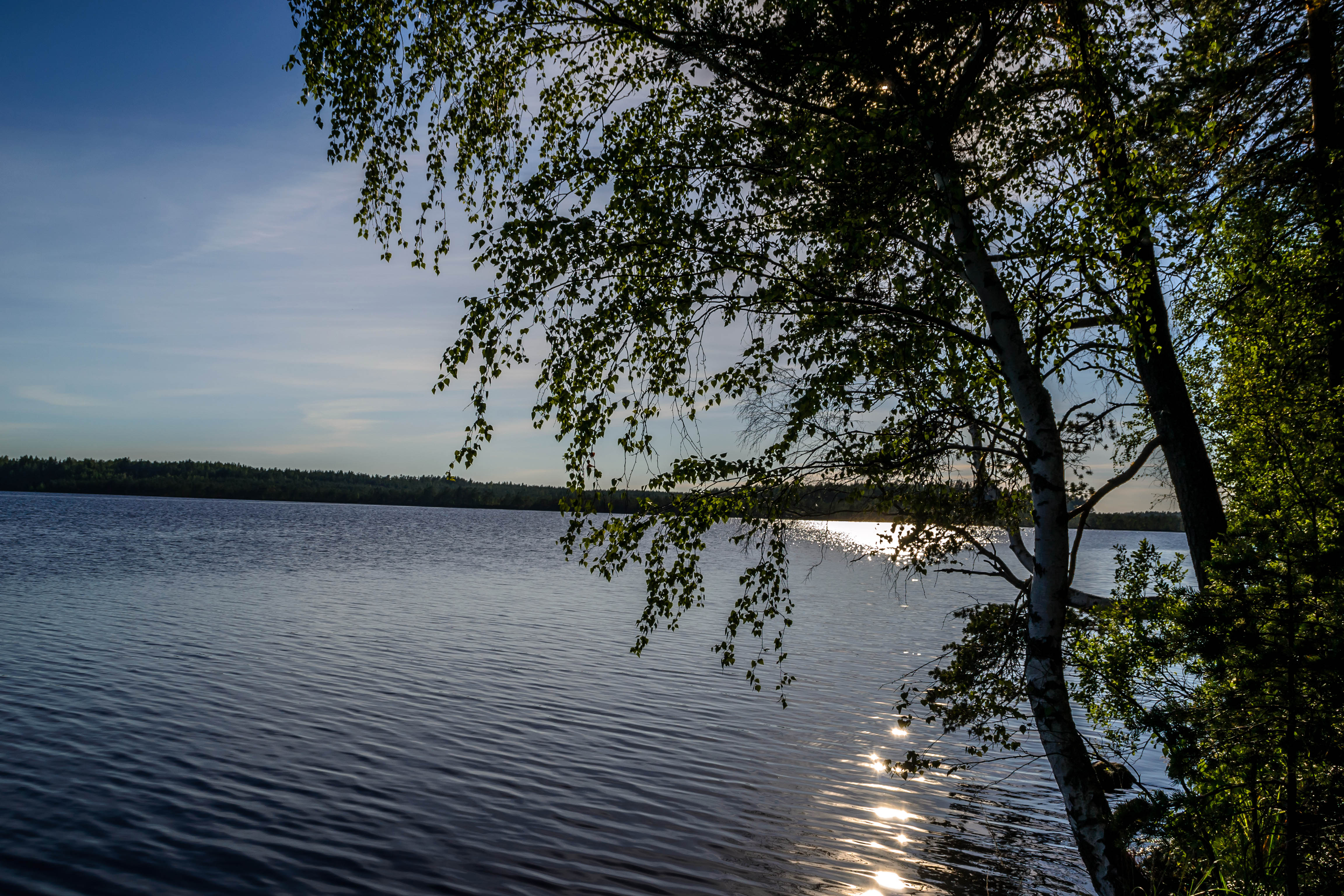 Tag: #juhannus #kesä #paavonurmimaraton #turku #kuntoilu #liikunta #juoksu  #elämäntapa – Yksi päivä elämästä | Lily