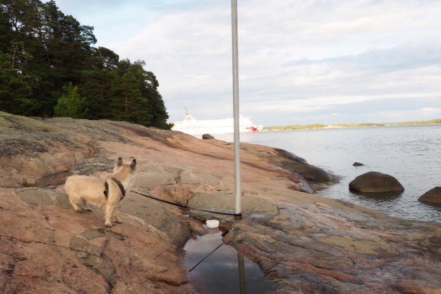 ruissalo2.jpg