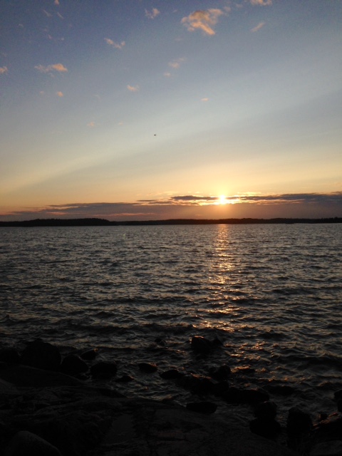ruissalo6.jpg