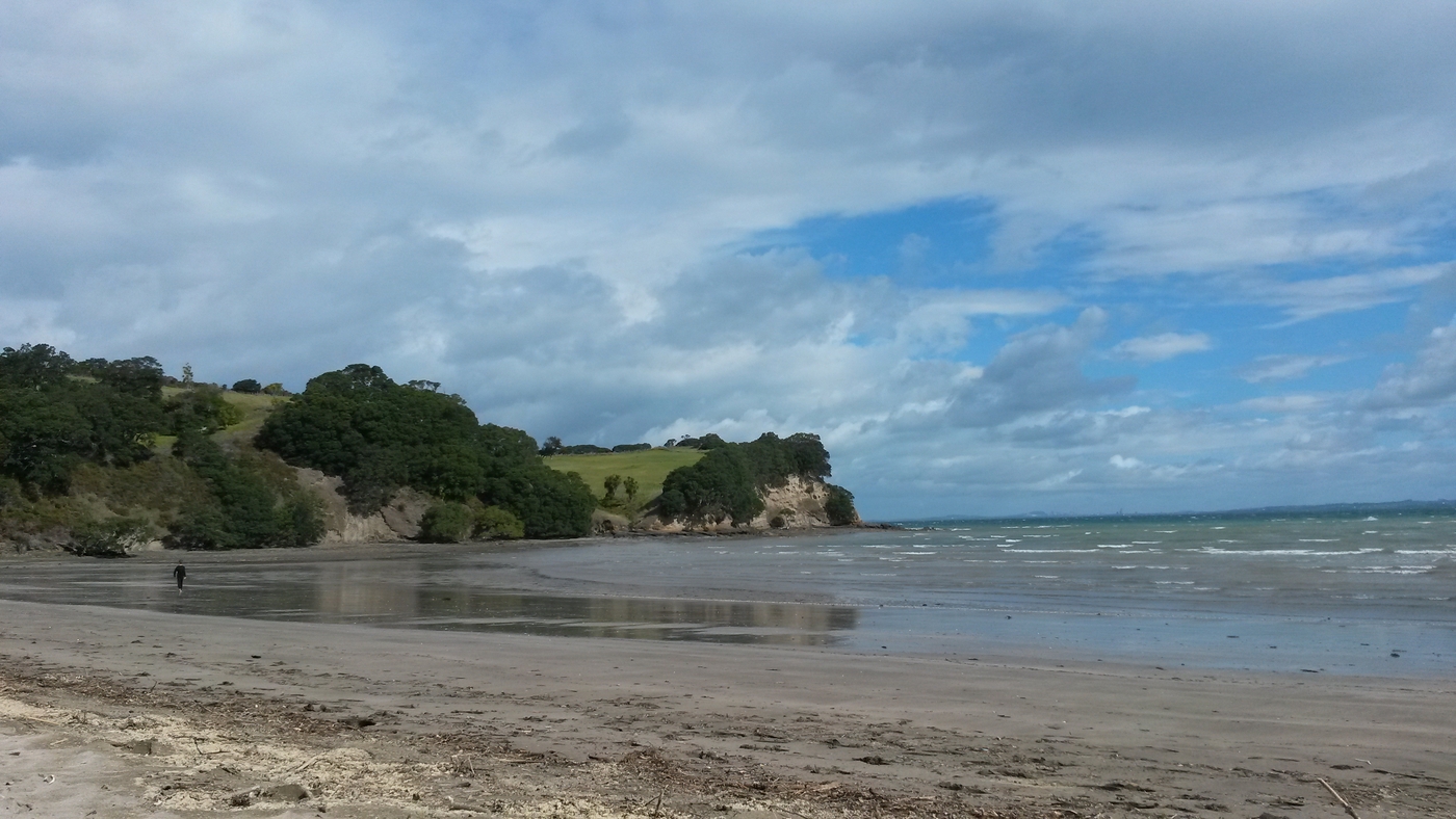 20151003_155608.jpg