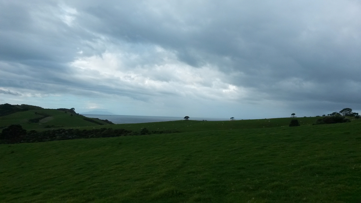 20151003_162401.jpg