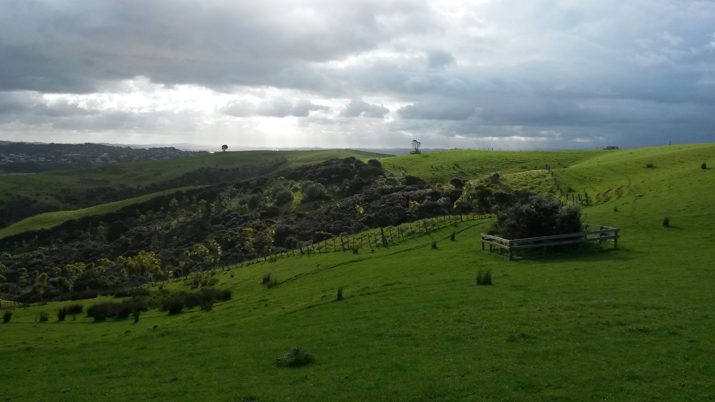 20151003_173709.jpg