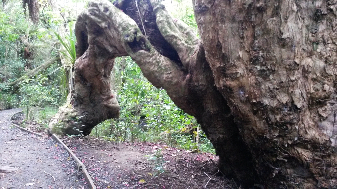 20151004_095417.jpg
