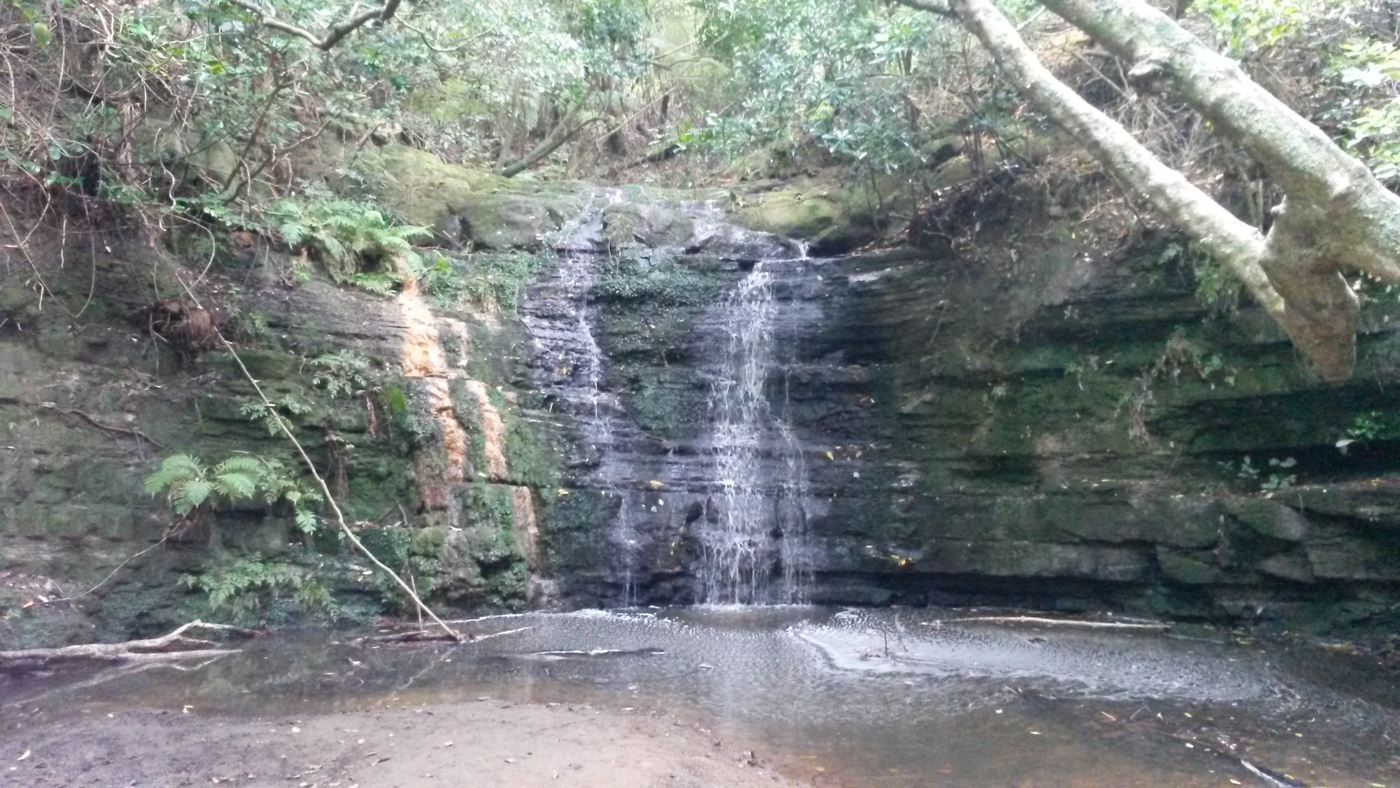 20151004_100430.jpg