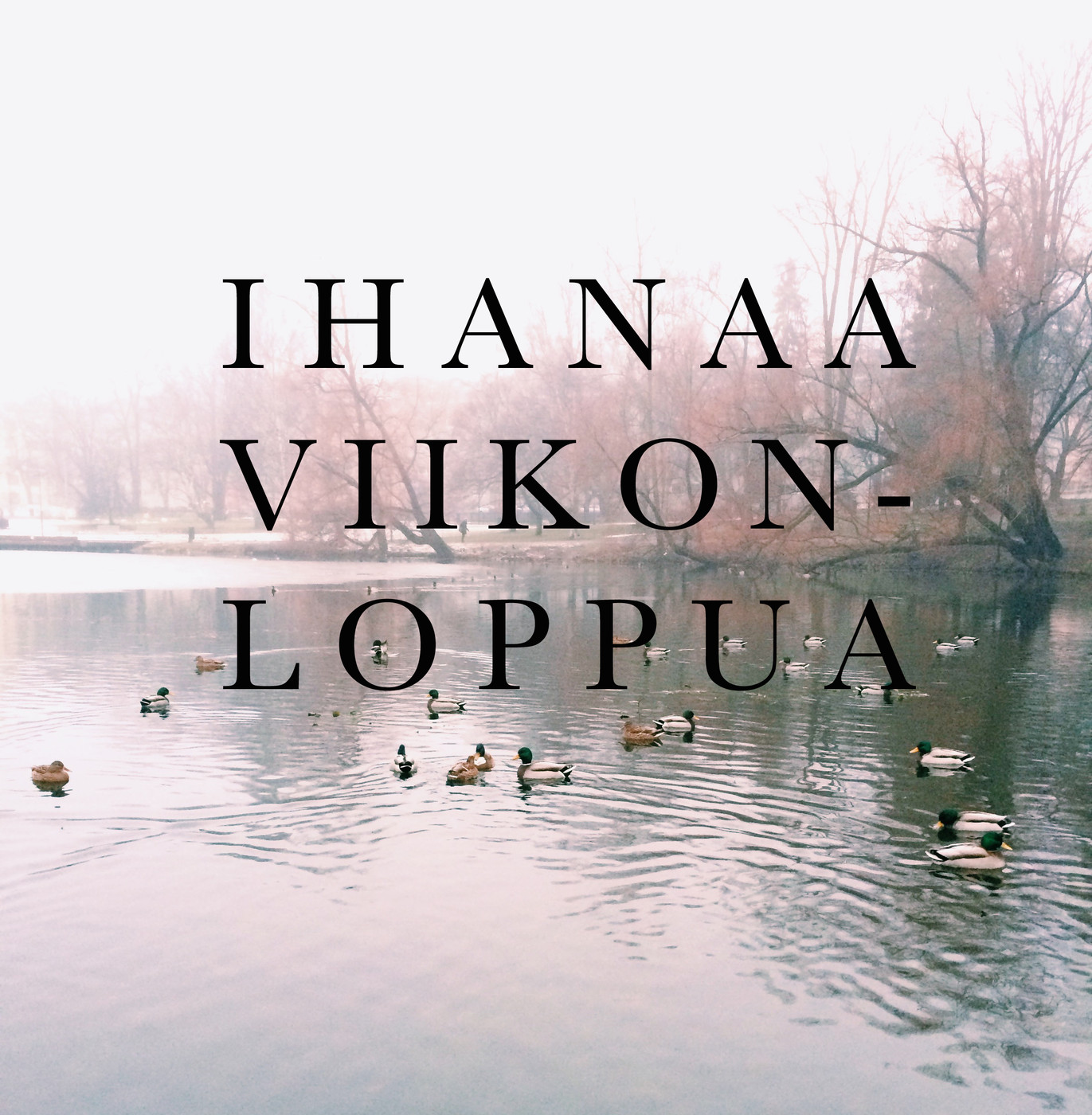 viikonloppu.jpg