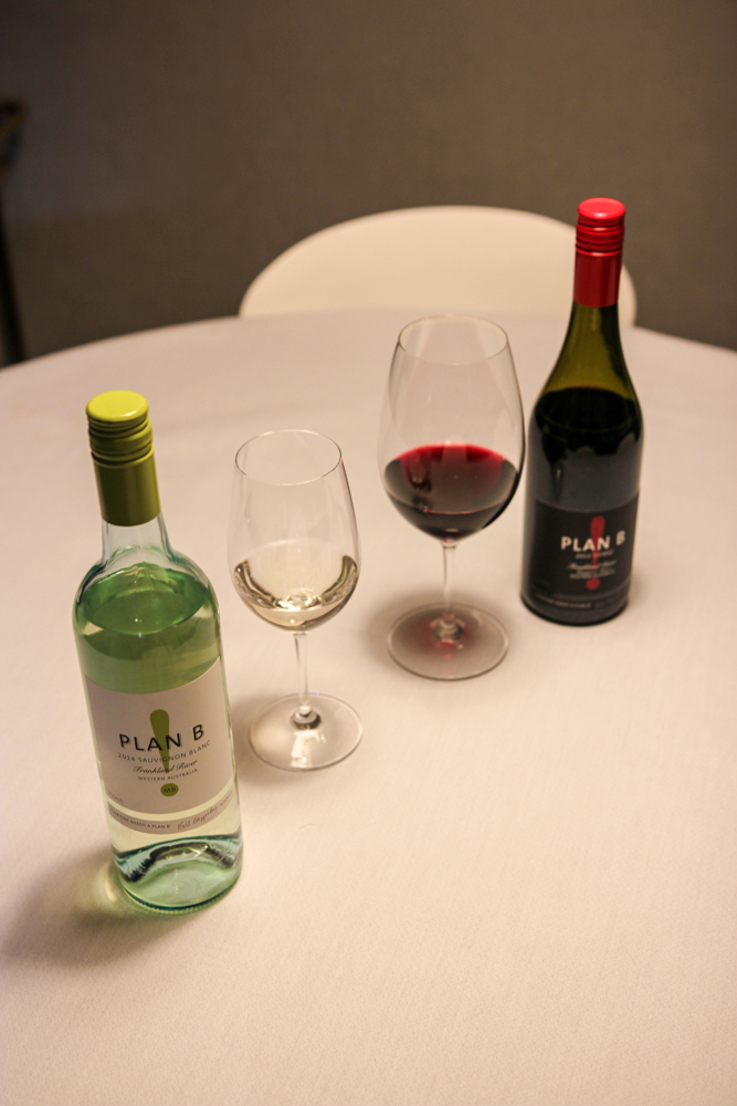 Plan B Shiraz & Sauvignon Blanc – Viinillä | Lily