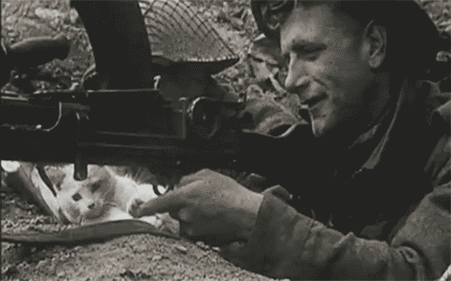 tumblr_m1ldp5mqyl1r9ys3eo1_500_large.gif