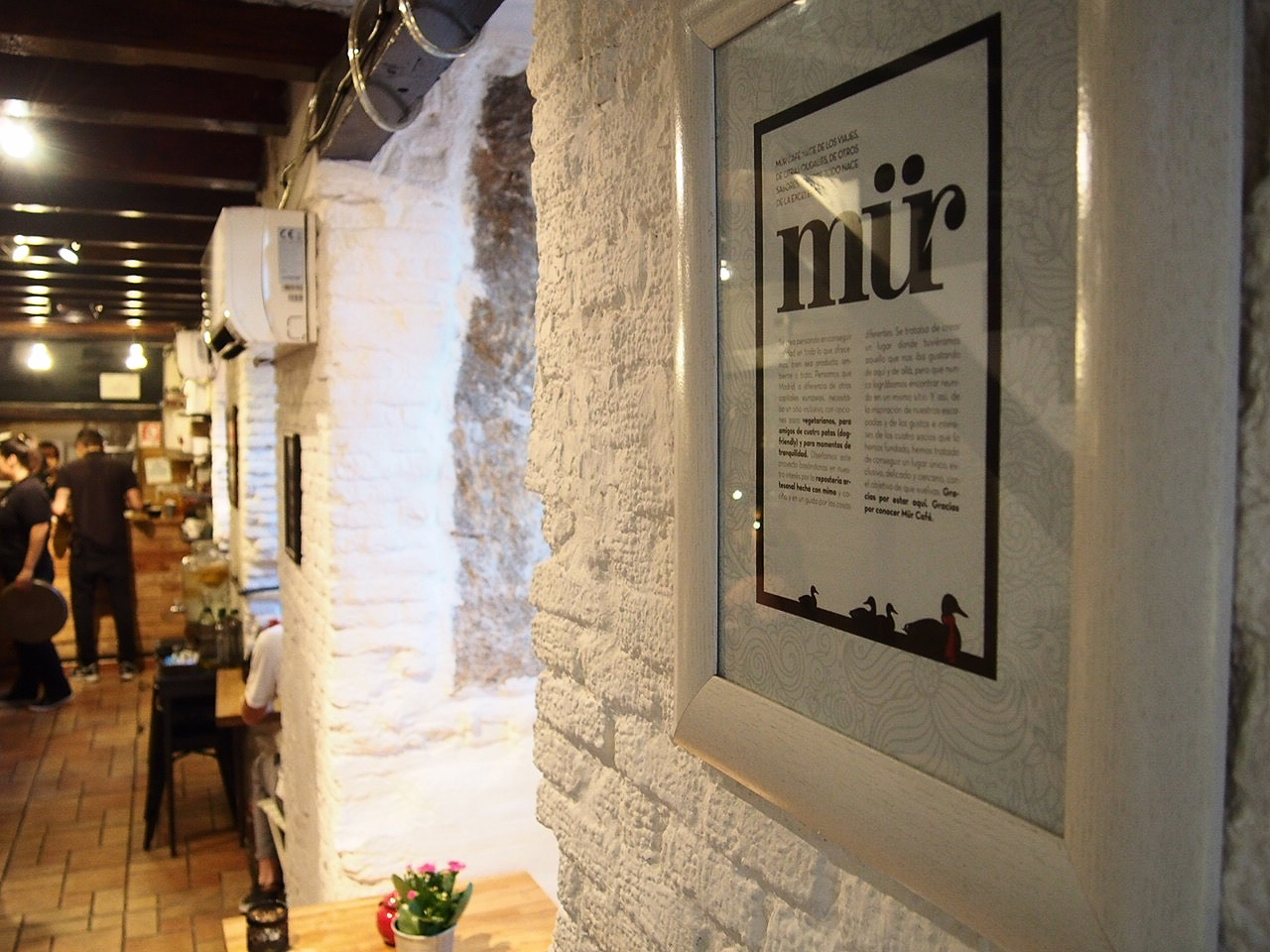 cafe9.jpg