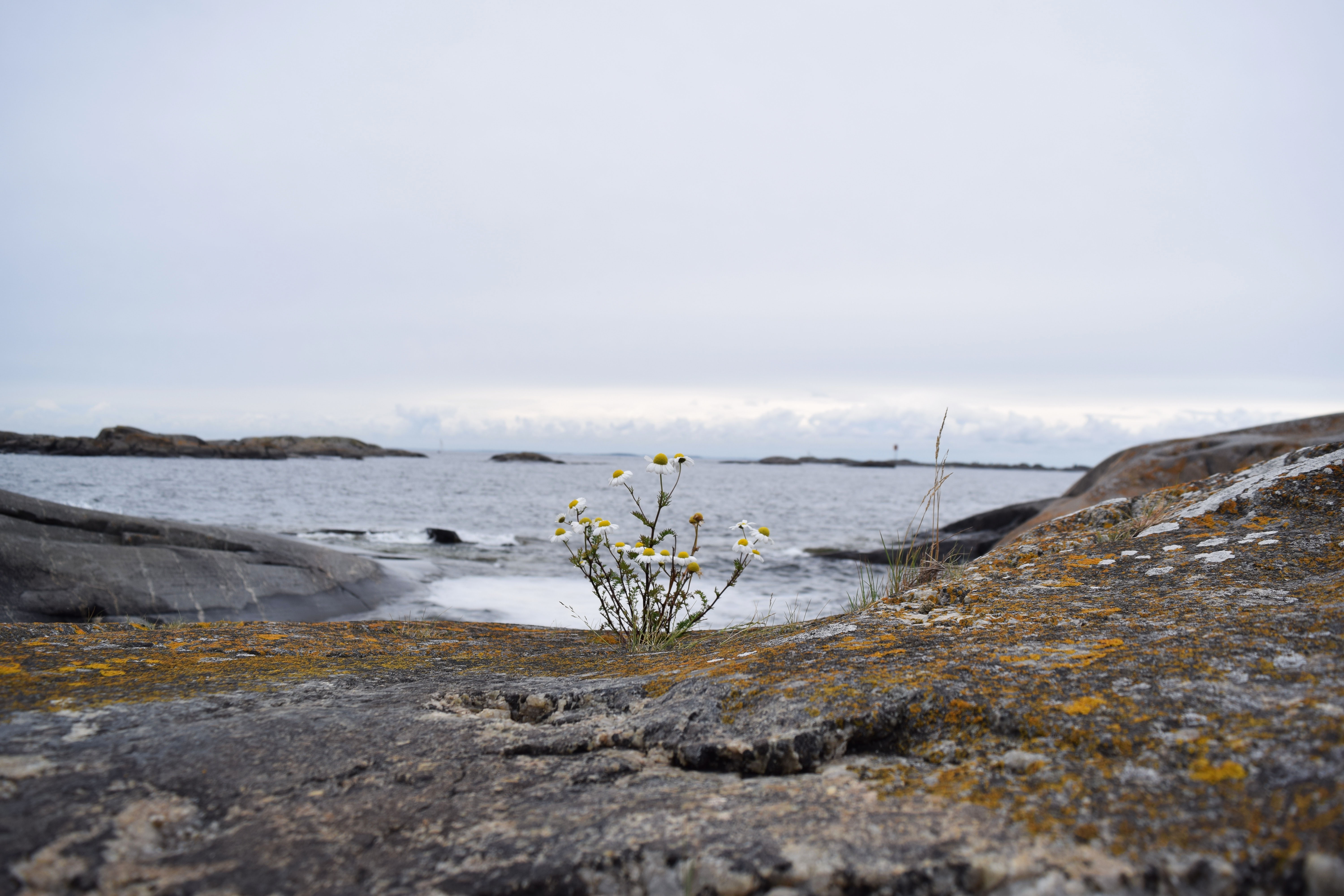 söderskär17.jpg