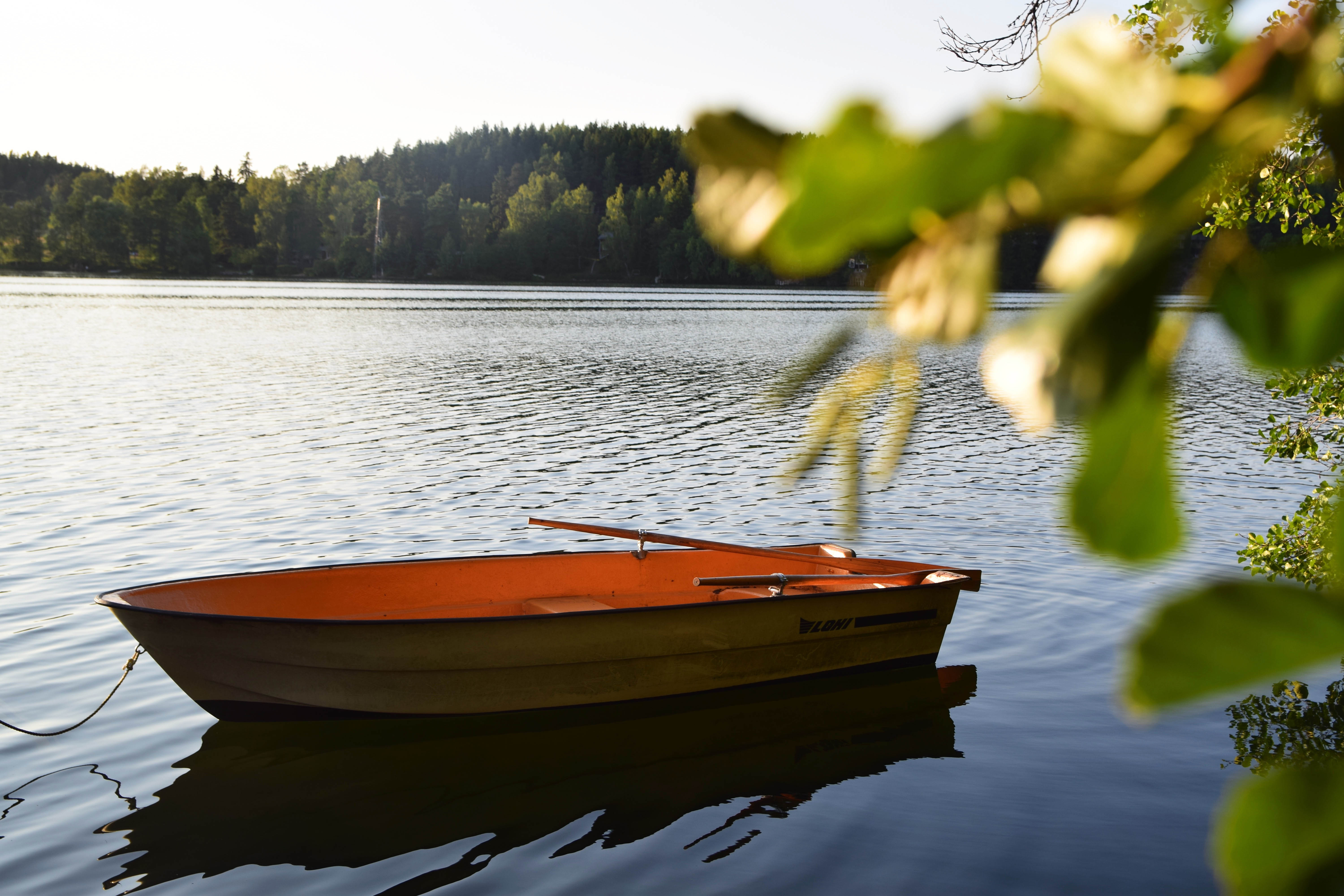 mökkikesä20.jpg