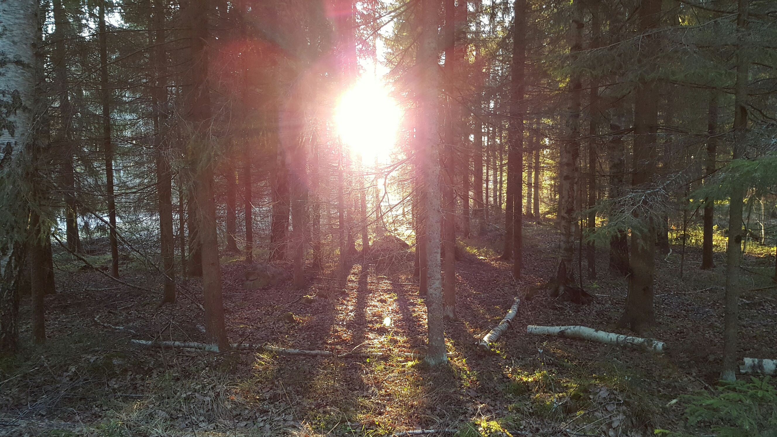 Heinola5
