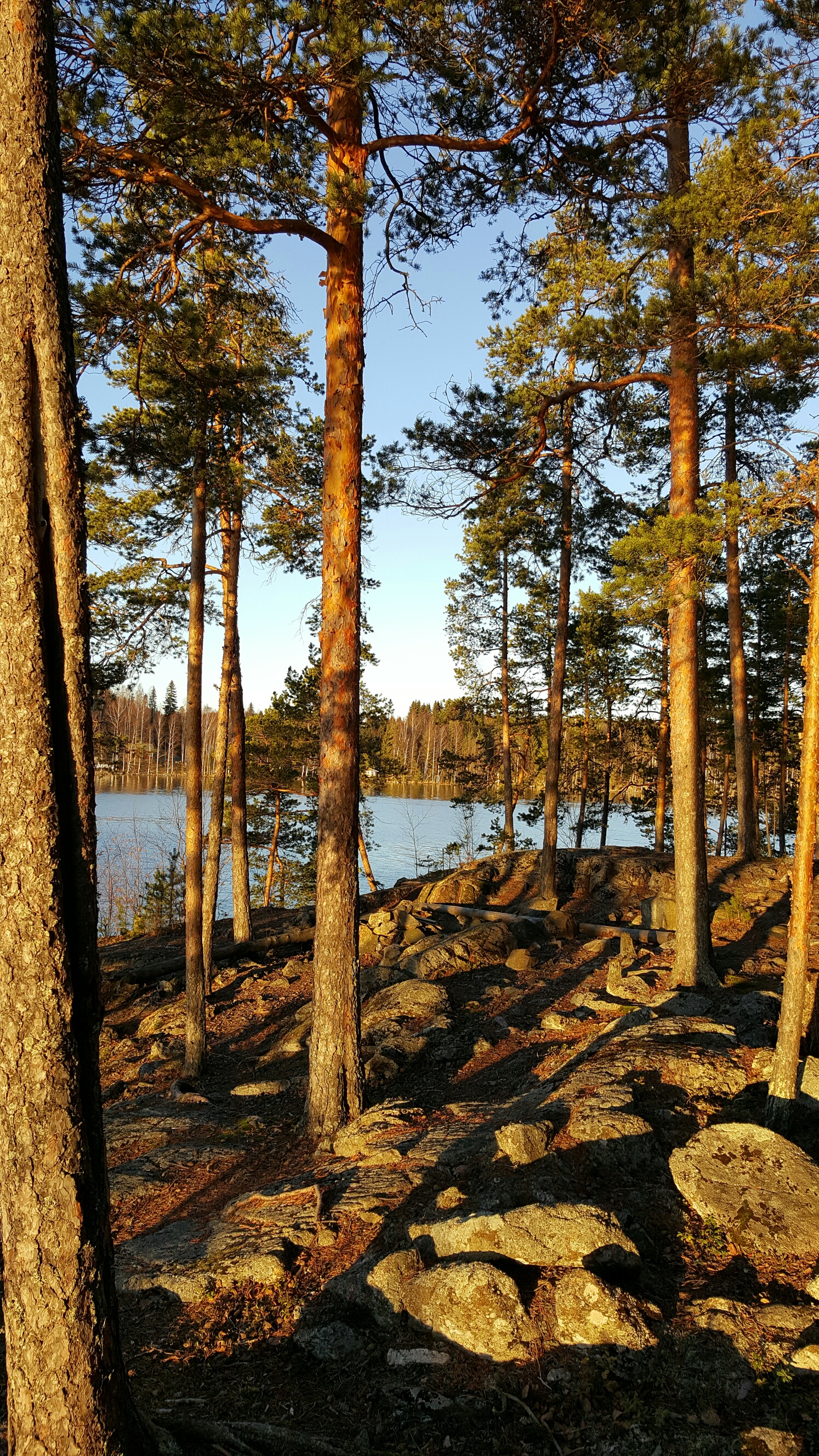 Mistä oli joulu 2015 tehty?