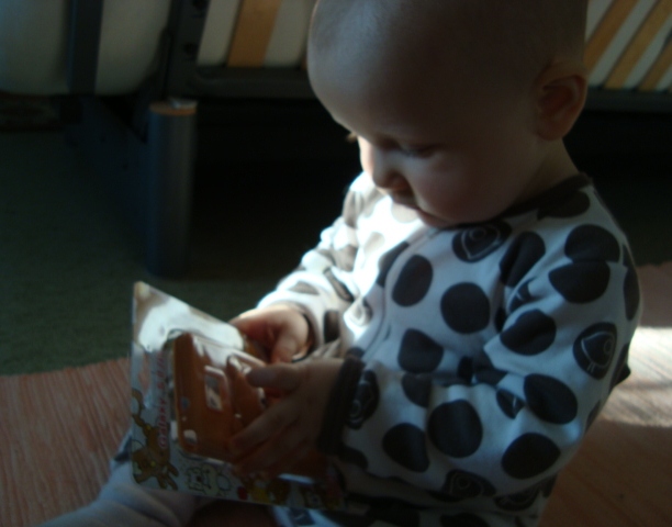 dsc04926.jpg