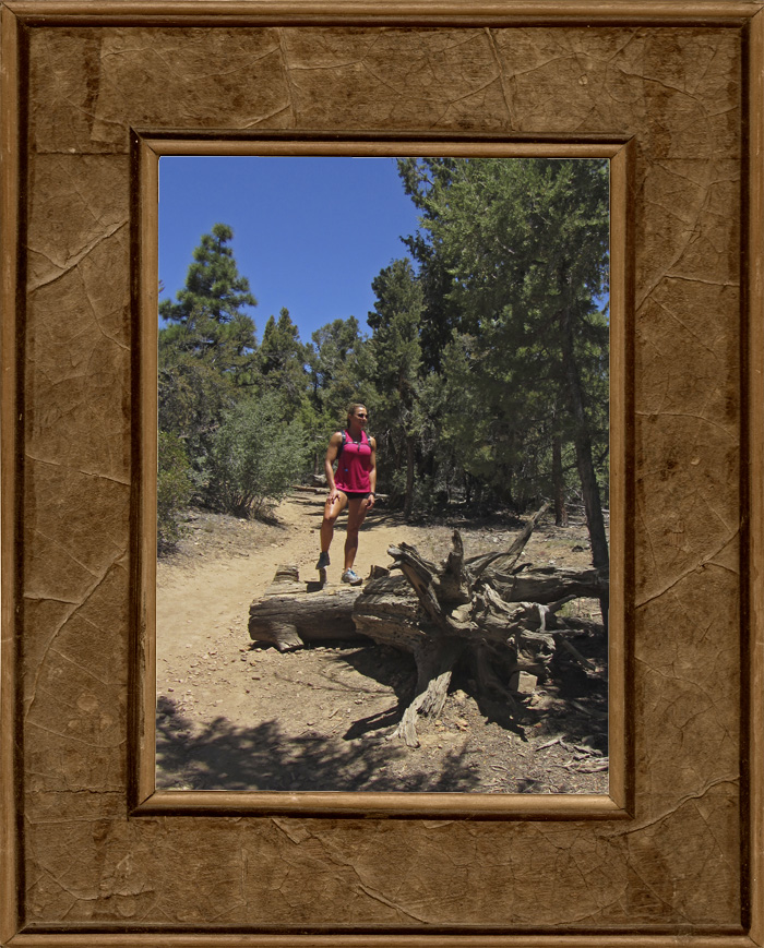 bigbear1.jpg