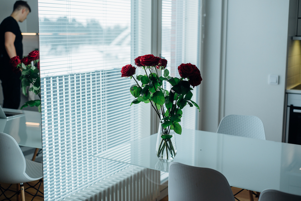 Hauskoja videoita xxx