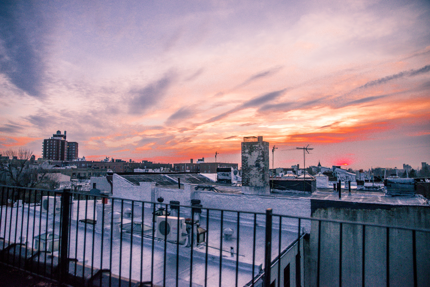 DSC_4655.jpg