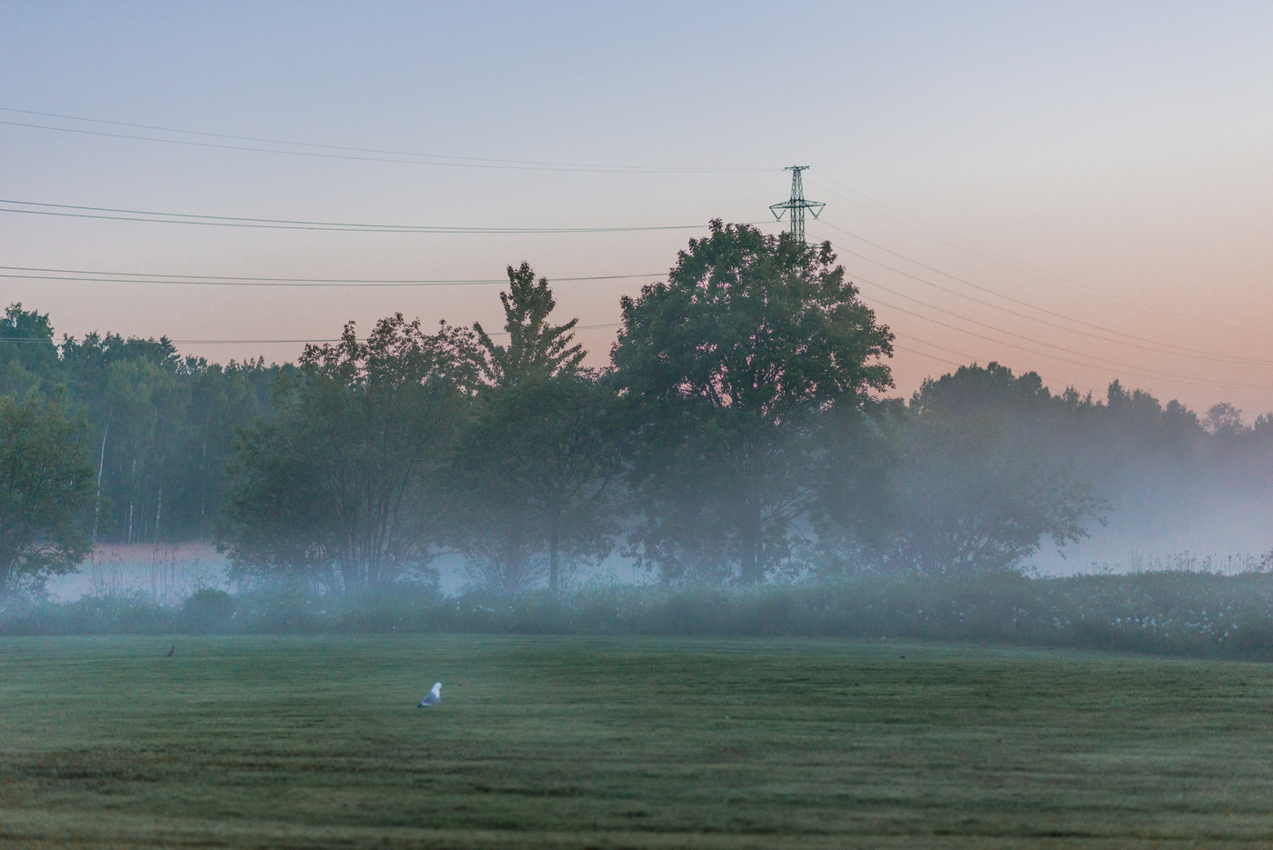 DSC_8638.jpg
