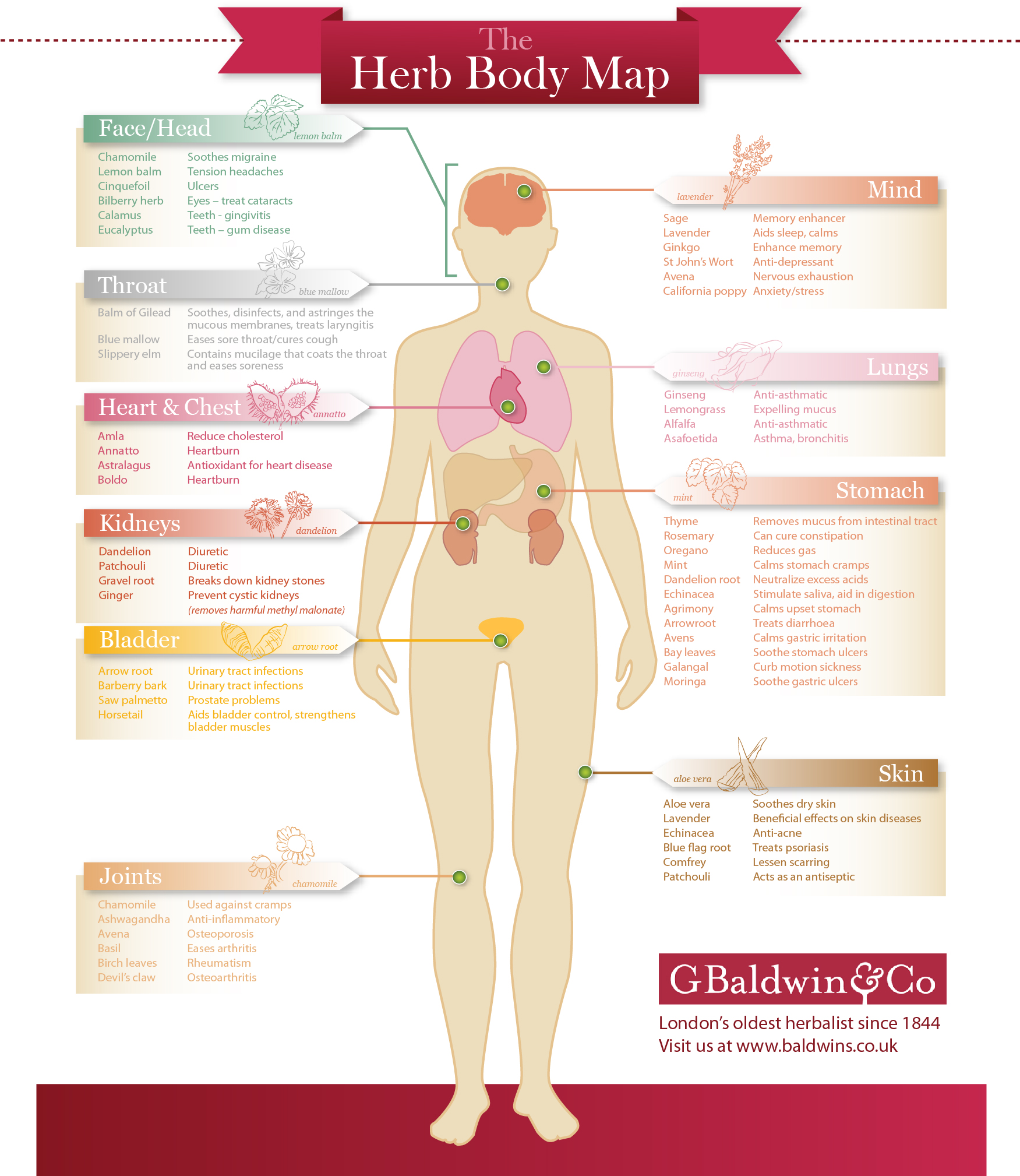 body_map.jpg body_map.jpg