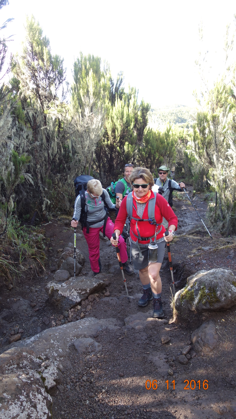 Kilimanjaro 385.JPG