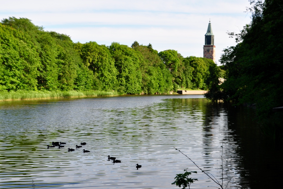 thumb_DSC_0524_1024.jpg